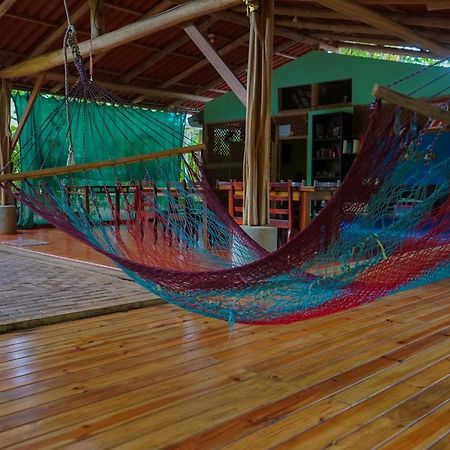 Hospedaje El Bosquecito Uvita Exteriör bild