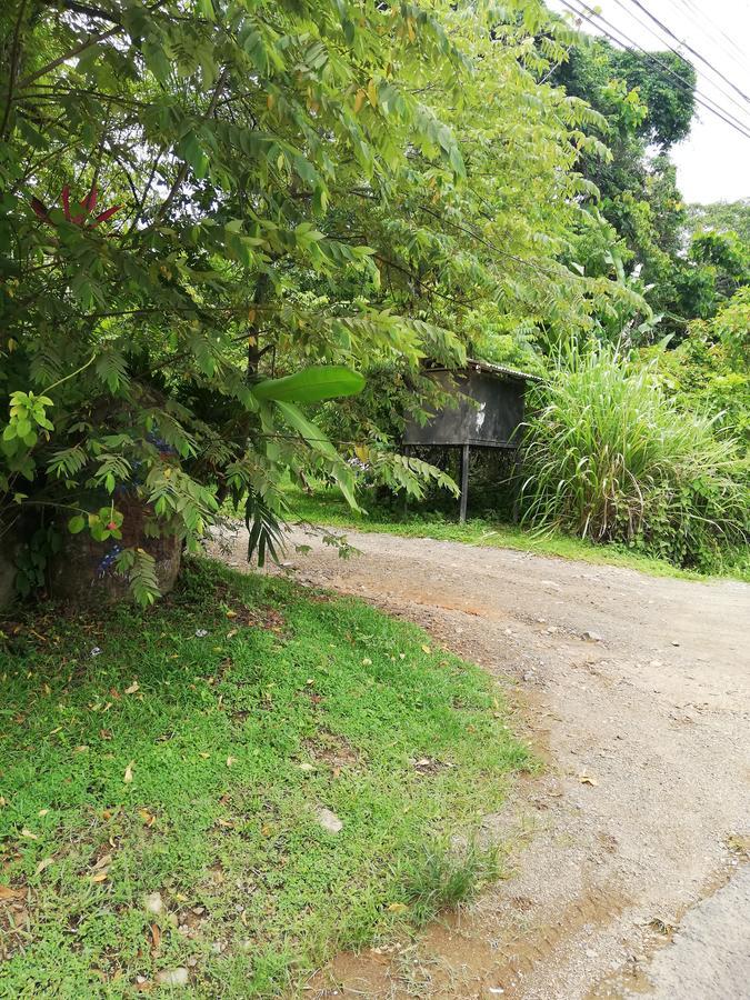 Hospedaje El Bosquecito Uvita Exteriör bild