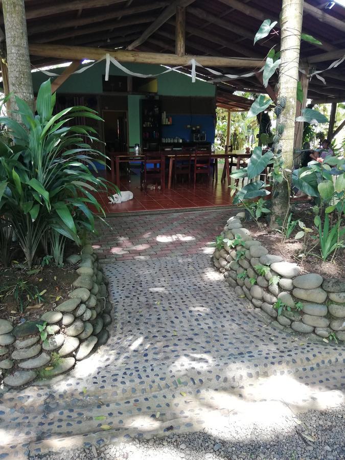 Hospedaje El Bosquecito Uvita Exteriör bild