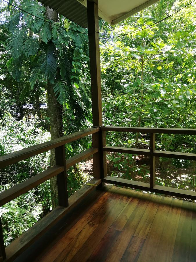 Hospedaje El Bosquecito Uvita Exteriör bild