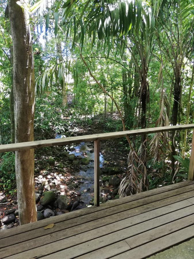 Hospedaje El Bosquecito Uvita Exteriör bild