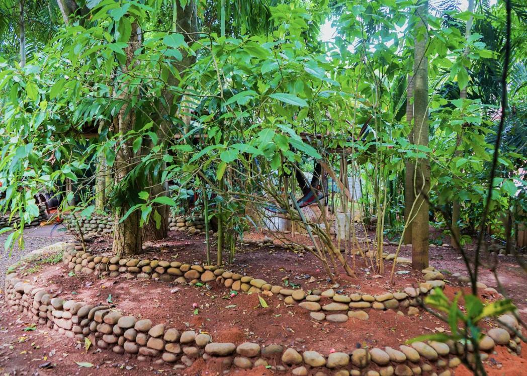 Hospedaje El Bosquecito Uvita Exteriör bild
