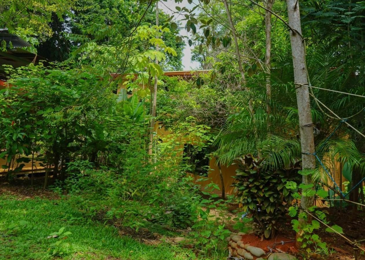 Hospedaje El Bosquecito Uvita Exteriör bild