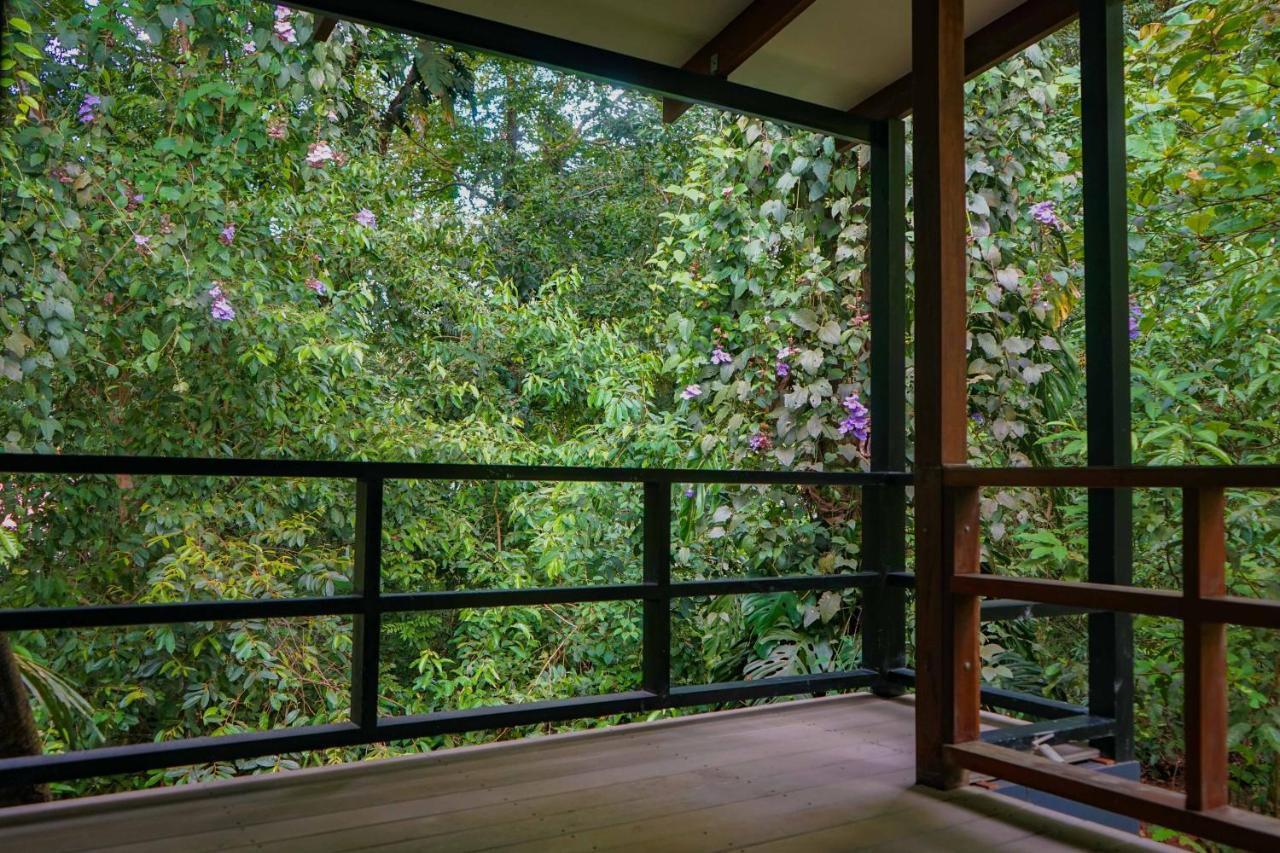Hospedaje El Bosquecito Uvita Exteriör bild